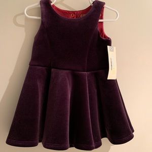 Purple velvet dress